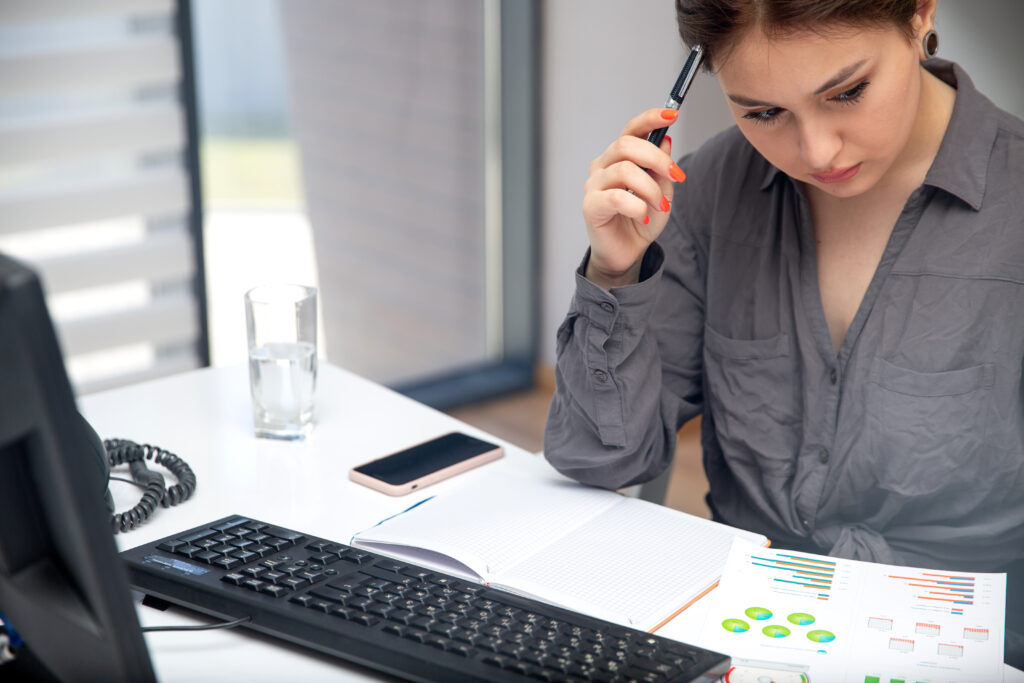 Tax Audit & Investigation Support